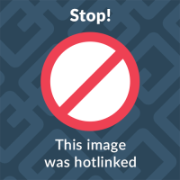 Logo transparent